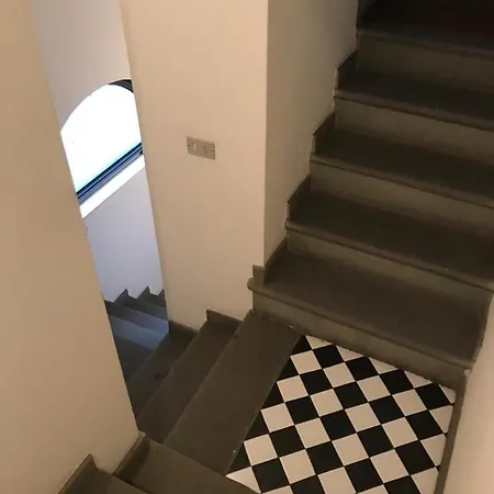 Gatto Bianco 9 * Μπέργκαμο